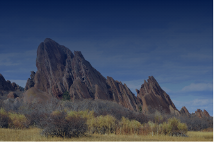 Creating and Supporting a Culture of Clinical Excellence